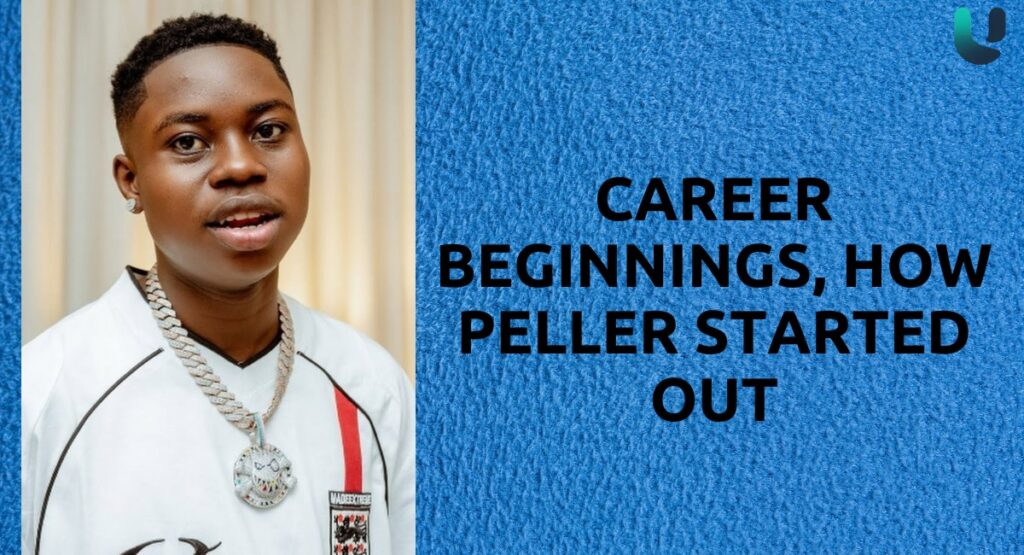 Career Beginnings, How Peller Started Out