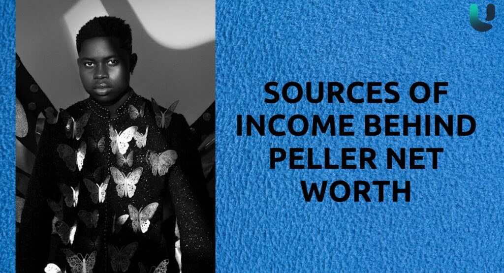 Sources of Income Behind Peller Net Worth