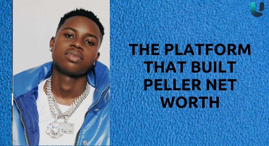 The Platform That Built Peller Net Worth